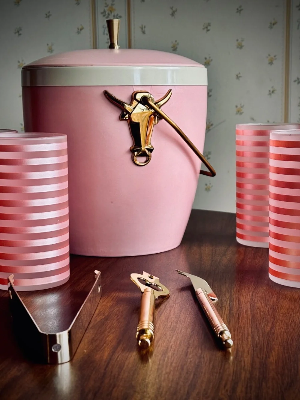 VTG Pink Longhorn Atomic Lounge Set